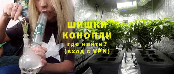 винт Бородино