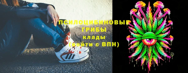 винт Бородино