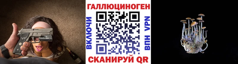 как найти   Губкинский  Псилоцибиновые грибы MAGIC MUSHROOMS 